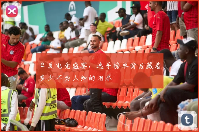 年度电竞盛宴,选手榜单背后藏着多少不为人知的泪水