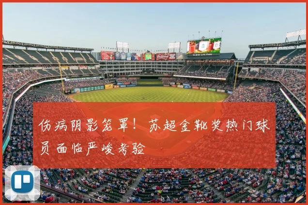 伤病阴影笼罩！苏超金靴奖热门球员面临严峻考验